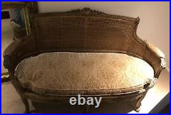 Antique French Gilt Cane Settee/ Cotton Velvet Cushion
