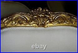 Gorgeous Italian Gilded Louis XV Corbeille Sofa Settee Canapé