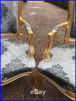 Unique Sofa/Settee/Couch Set with 2 Chairs in Louis XVI Style